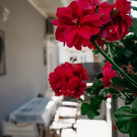 Σπίτι διακοπών Boutique Maison Φιλιατρά