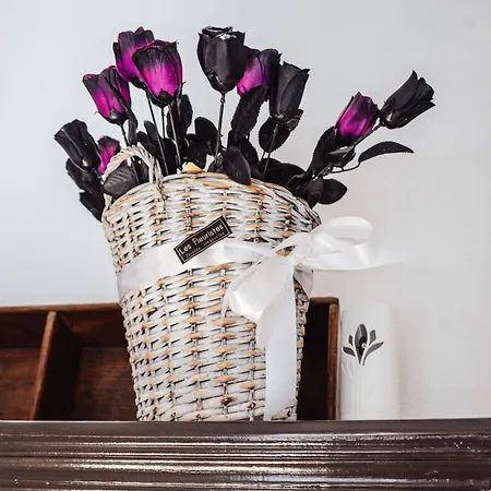 Boutique Maison Дом отдыха Филиатра